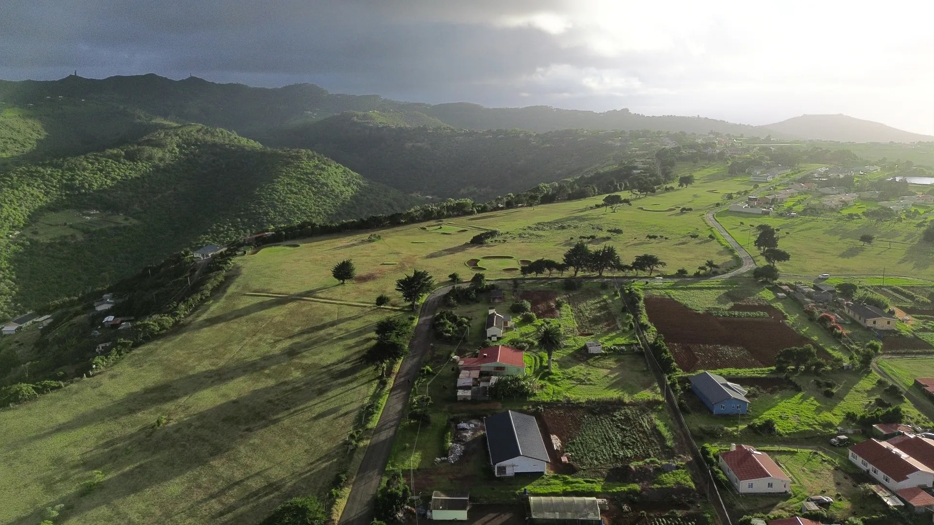 St Helena Island Longwood Smudge Dog Media